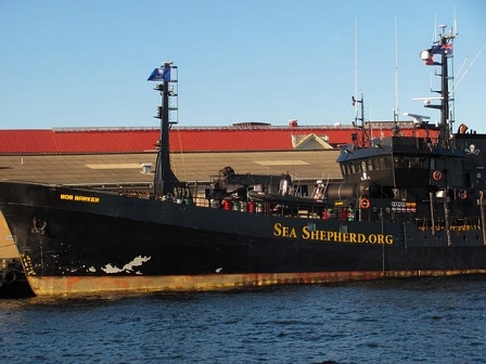 Sea Shepherd